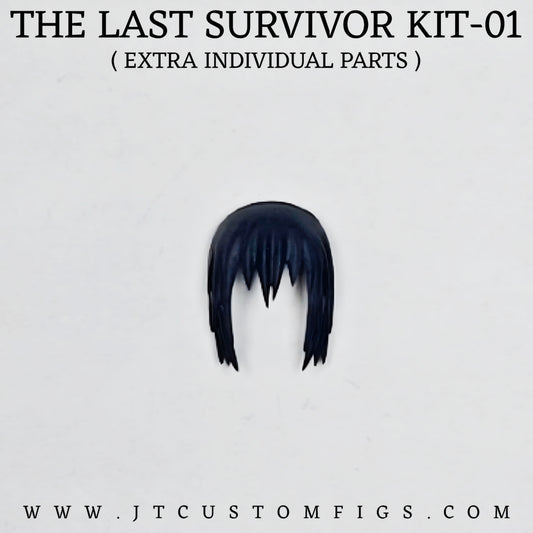 The Last Survivor Kit - 01 ( individual parts )